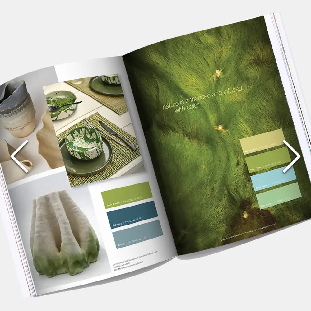 Featured in Pantone’s View book 2025