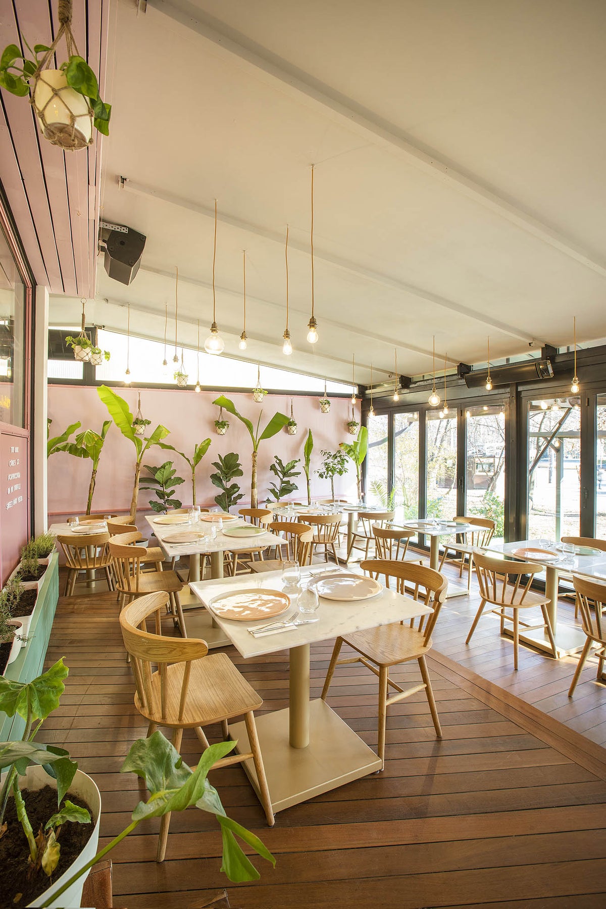 Restaurant dining room with ceramic tableware, wooden tables and hanging plants