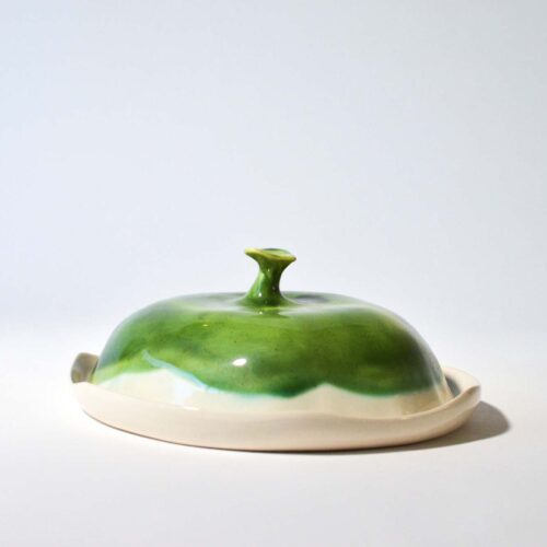 food storage box with a green lid