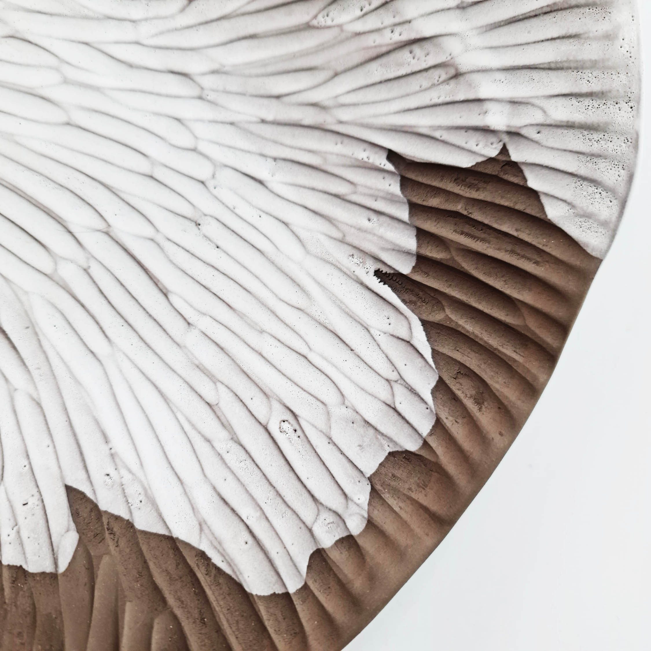 detail textured bowl chocolate clay and white glaze