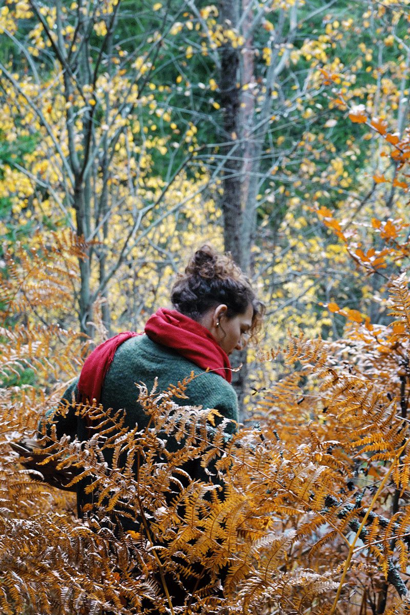 Winter Wreaths with Elitza Radeva - Image 4