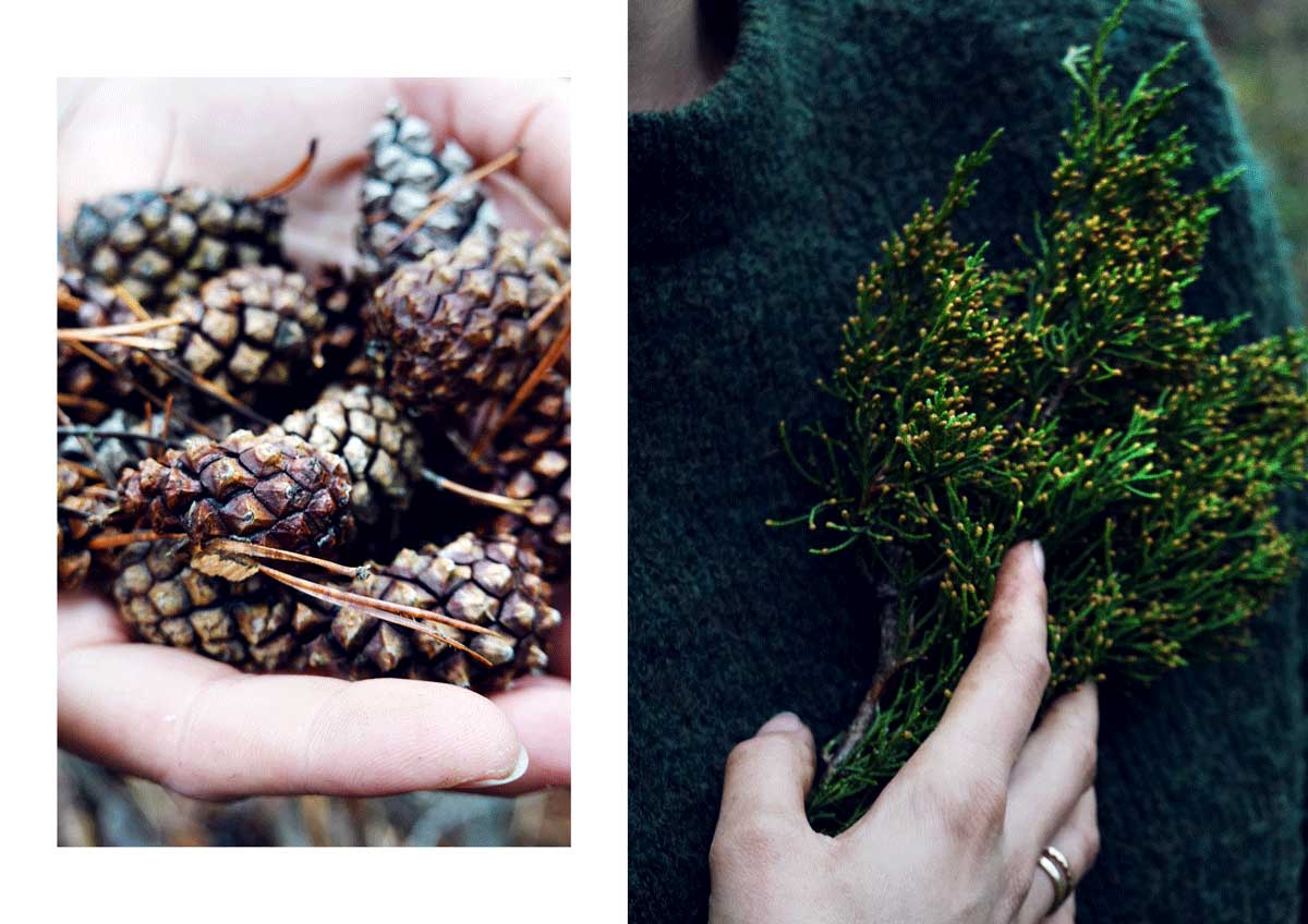 Winter Wreaths with Elitza Radeva - Image 2